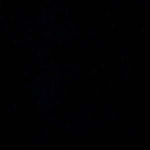 Meet your Posher, Logan